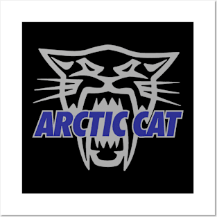 ARCTIC CATT SNOWMOBILE Posters and Art